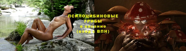 ешки Абаза