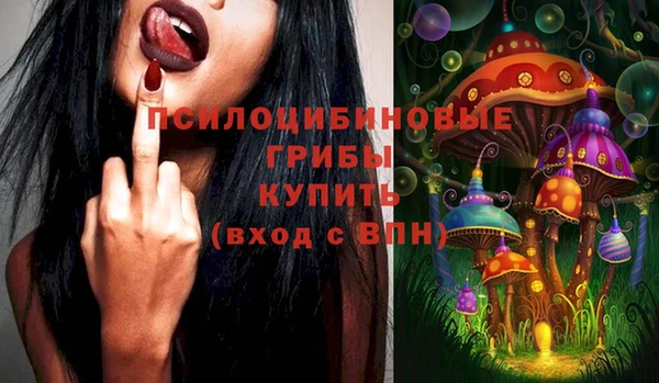 прущие грибы Абдулино
