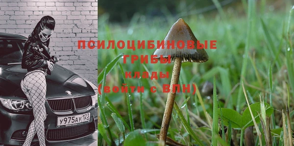 мескалин Абинск