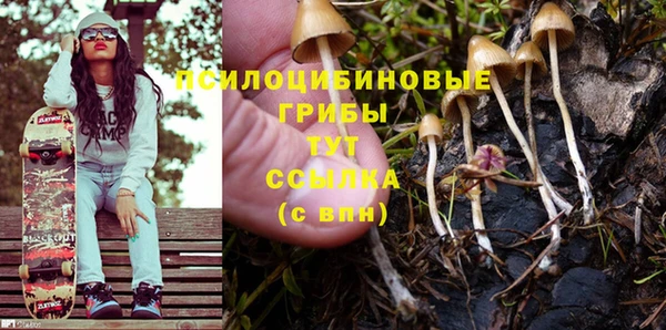 прущие грибы Абдулино