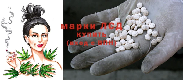 прущие грибы Абдулино