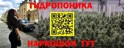 крисы Канаш