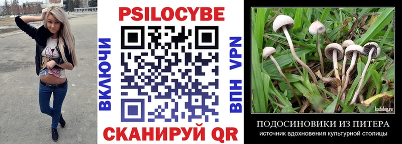 Псилоцибиновые грибы GOLDEN TEACHER  Таганрог 