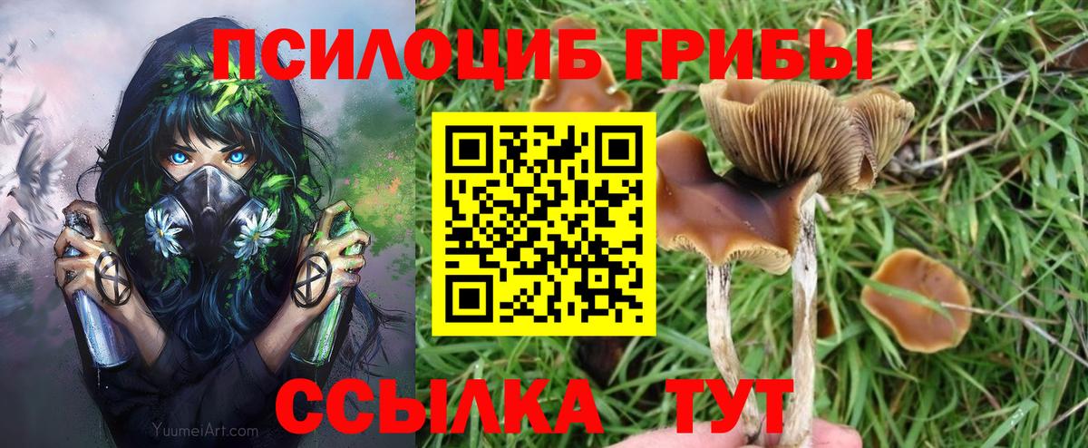 Галлюциногенные грибы MAGIC MUSHROOMS Таганрог
