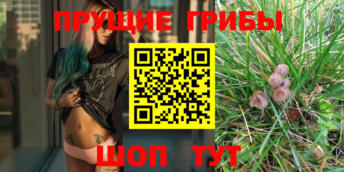 Псилоцибиновые грибы GOLDEN TEACHER  Вход с VPN  Таганрог 